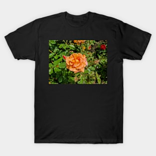 Orange Rose T-Shirt